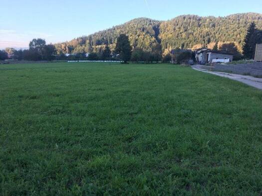 Grundstück zum Kauf 49.800 € 800 m² Grundstück Griffen 9112