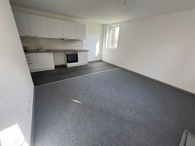 Wohnung zur Miete 800 € 2 Zimmer 48 m² EG Hörstener Straße 32 Harburg Hamburg 21079