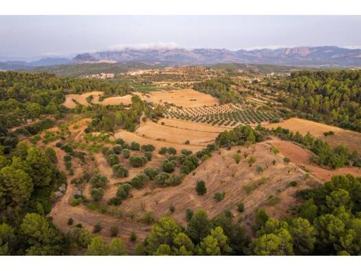 Acker-/Waldstück zum Kauf 65.000 € Arens de Lledó / Arenys de Lledó 44624