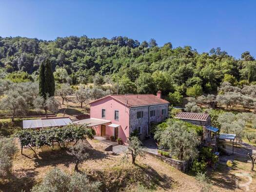Bauernhaus zum Kauf 795.000 € 6 Zimmer 350 m² 45.000 m² Grundstück frei ab sofort Fosdinovo 54035
