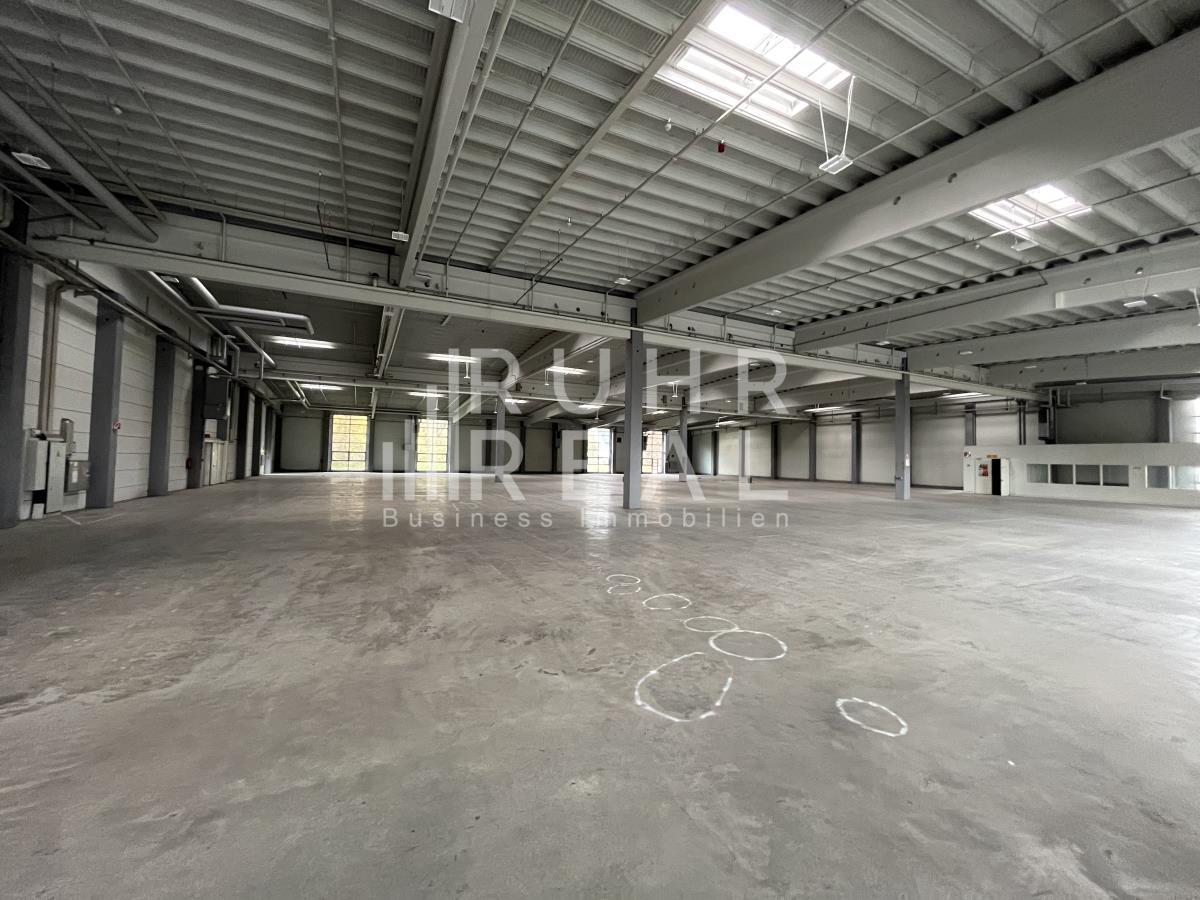 Halle/Industriefläche zur Miete provisionsfrei 7,95 € 2.100 m²<br/>Lagerfläche ab 2.100 m²<br/>Teilbarkeit Ossendorf Köln 50829