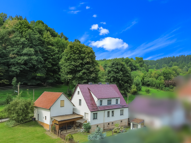 Einfamilienhaus zum Kauf 150.000 € 6 Zimmer 164 m² 1.200 m² Grundstück Hohleborn Floh-Seligenthal 98593