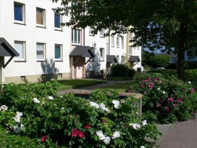 Wohnung zur Miete 429 € 2 Zimmer 58,4 m² Dachgeschoss frei ab 01.07.2025 Musbeker Weg 45 Harrislee Harrislee 24955
