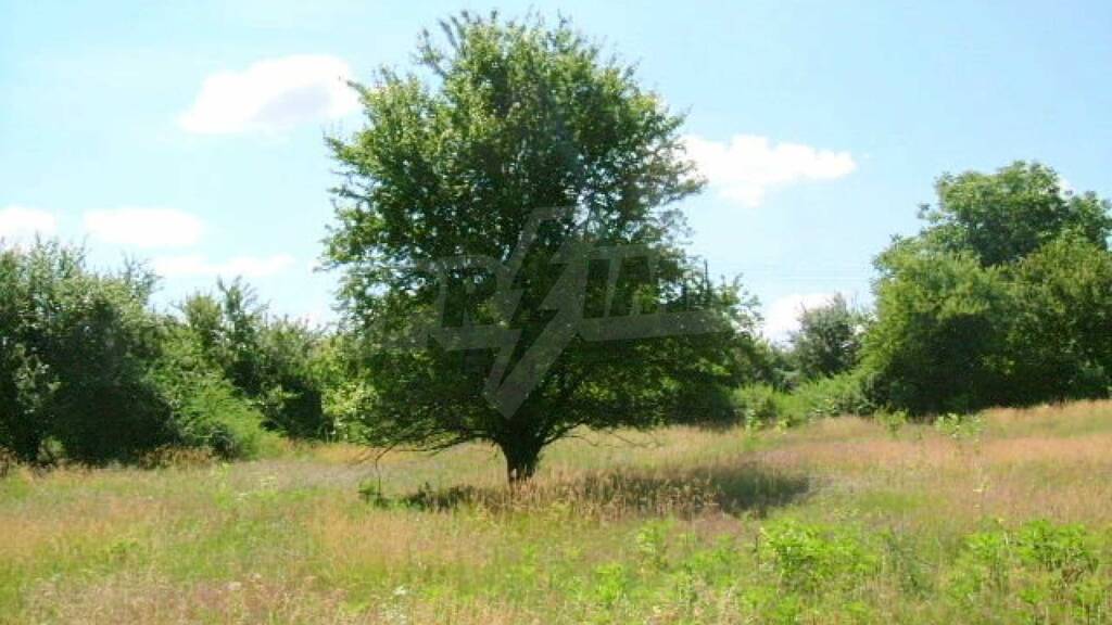 Grundstück zum Kauf 14.610 € Dobrich