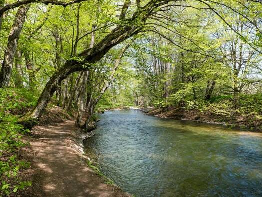 Grundstück zum Kauf 3.700.000 € 1.850 m² Grundstück Gauting 82131