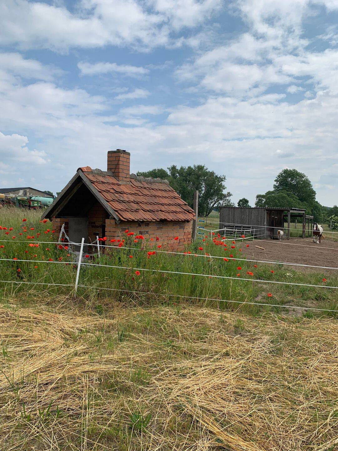 Einfamilienhaus zum Kauf - Ansicht 5
