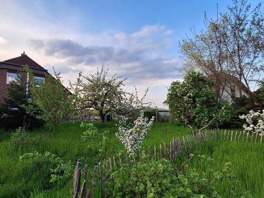Grundstück zum Kauf 39.500 € 982 m² Grundstück Parchau Burg 39288