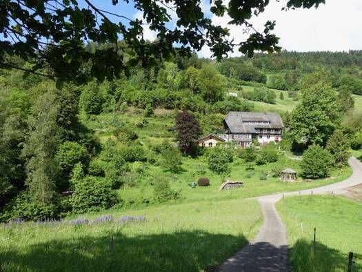Haus zum Kauf 1.150.000 € 20 Zimmer 11.000 m² Grundstück Atzenbach Zell im Wiesental 79669