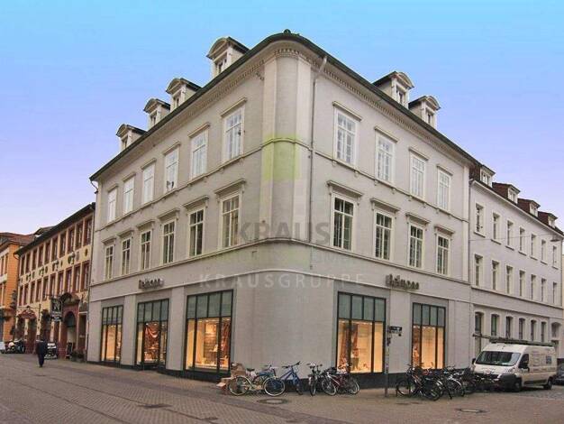 Bürofläche zur Miete provisionsfrei 17 € 5 Zimmer 290,7 m² Bürofläche teilbar ab 290,7 m² Altstadt Heidelberg 69117