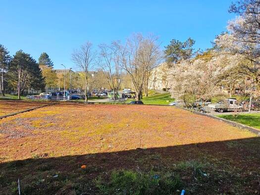 Wohnung zur Miete 782 € 3 Zimmer 78,6 m² 1. Geschoss frei ab sofort Karl-Marx-Straße 40 Dotzheim Wiesbaden 65199