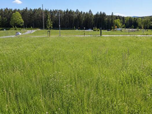 Grundstück zum Kauf 79.091 € 569 m² Grundstück Baugenehmigung vorhanden Lavendelstr  5 Hammermühle Creußen 95473