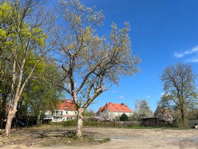 Grundstück zum Kauf 165.000 € 507 m² Grundstück Neuseddin Seddiner See / Neuseddin 14554