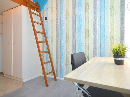 Studio zur Miete auf Zeit 445 € 1 Zimmer 13 m² frei ab 01.08.2026 Südstadt Fürth 90763