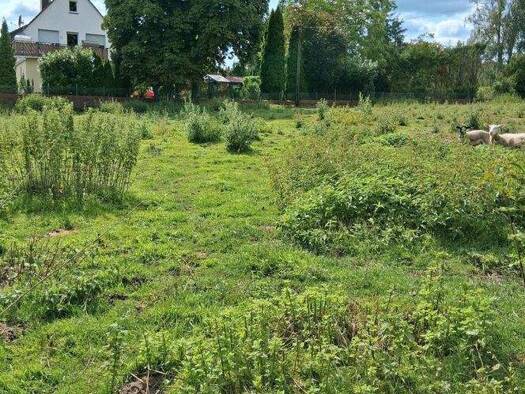 Einfamilienhaus zum Kauf 560.000 € 4 Zimmer 120 m² 4.200 m² Grundstück Belm 49191