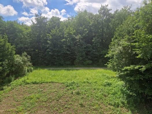Wohnung zum Kauf - Erstbezug 439.900 € 3 Zimmer 88 m² 1. Geschoss Karl Punzerstrasse 60a Hinterberg Steyr 4400