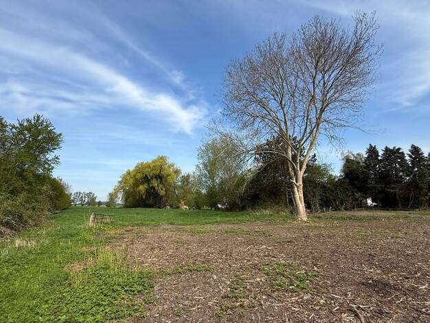 Grundstück zum Kauf 240.000 € 850 m² Grundstück Uetersen 25436