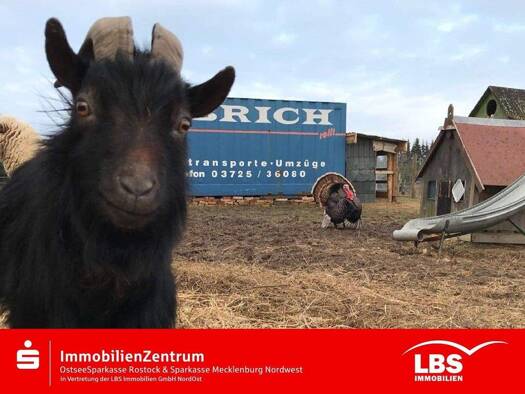 Bauernhaus zum Kauf provisionsfrei 550.000 € 8 Zimmer 281,1 m² 25.837 m² Grundstück Altenhagen Kröpelin 18236