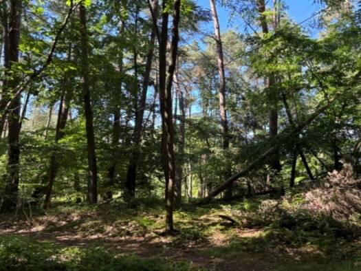 Grundstück zum Kauf 56.000 € 1.321 m² Grundstück Hüttersdorf Schmelz 66839