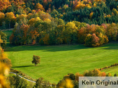 Land-/Forstwirtschaft zum Kauf 148.000 € 50.918 m² Grundstück Gößweinstein Gößweinstein / Behringersmühle 91327