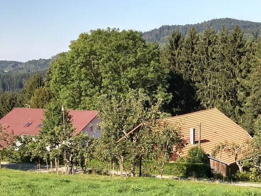 Einfamilienhaus zum Kauf provisionsfrei 1.725.000 € 11 Zimmer 300 m² 65.000 m² Grundstück frei ab sofort Vornwald Haibach 94353