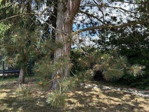 Grundstück zum Kauf 569.000 € 800 m² Grundstück Altenberg Oberasbach 90522