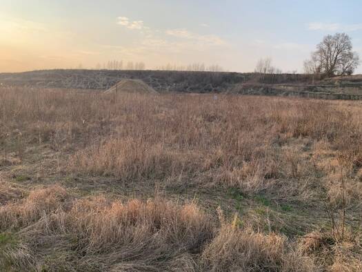 Freifläche zum Kauf 40 € Roseldorf 2002