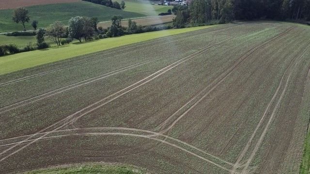 Landwirtschaftliche Fläche zum Kauf 330.500 € 19.441 m²<br/>Grundstück Haunwang Eching 84174