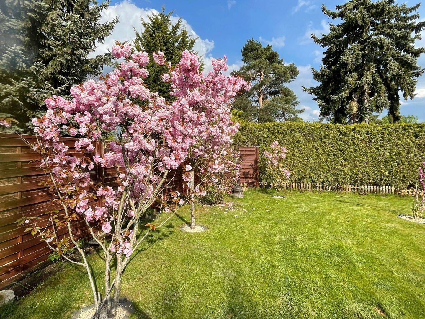 Property thumbnail 29