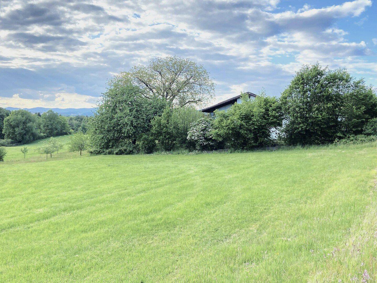 Einfamilienhaus zum Kauf - Widok 2