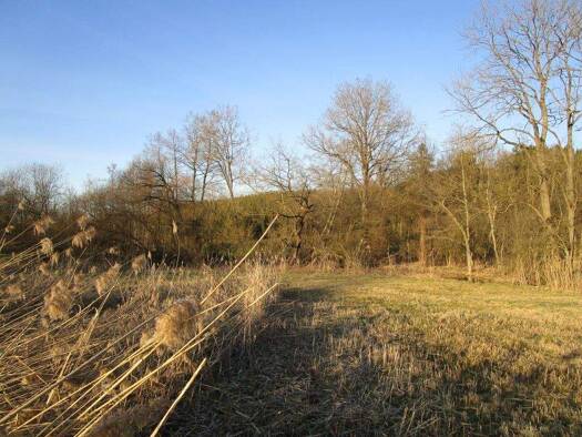 Grundstück zum Kauf Unterglaim Ergolding 84030