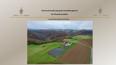 Bauernhof zum Kauf 890.000 € 170.000 m² Grundstück Steinsberg 56379