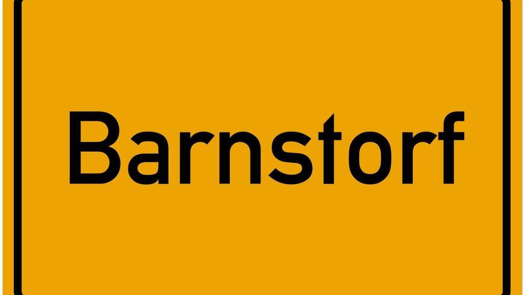 Haus zum Kauf 179.000 € 4 Zimmer 120 m² 428 m² Grundstück Barnstorf 49406