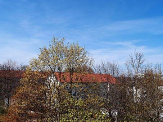 Wohnung zur Miete 740 € 2 Zimmer 47 m² Dieselstr. 1 West Ludwigsburg 71636