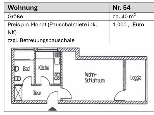 Wohnung zur Miete 1.000 € 2 Zimmer 55 m² frei ab sofort Bad Pyrmont 31812