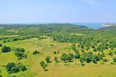 Land-/Forstwirtschaft zum Kauf Porec center