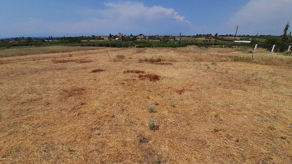 Land-/Forstwirtschaft zum Kauf 100.000 € 348 m² Grundstück Chalkidiki