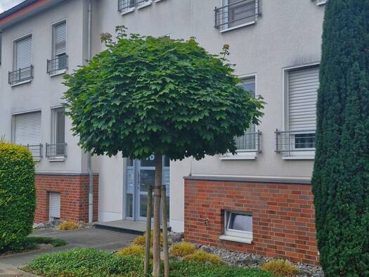 Wohnung zur Miete 780 € 2 Zimmer 74 m² Geschoss 1/1 frei ab 01.09.2025 Mitte Gladbeck 45964