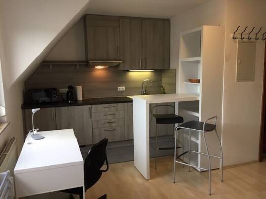 Studio zur Miete 530 € 1 Zimmer 21 m² Geschoss -1/4 frei ab sofort Hindenburgstraße 18 Innenstadt Erlangen 91054