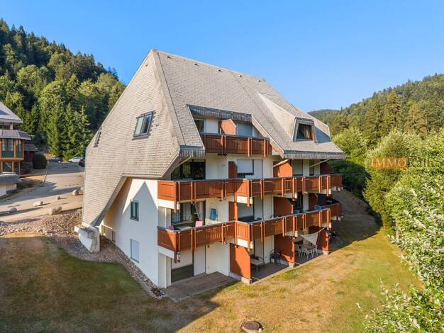 Wohnung zum Kauf 99.000 € 2 Zimmer 62 m² Vordertodtmoos Todtmoos 79682
