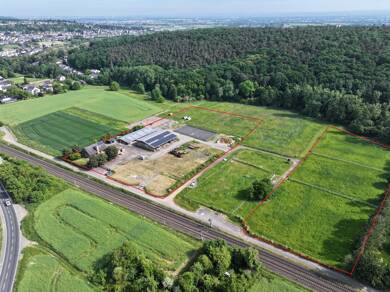 Reiterhof zum Kauf 29.785 m² 29.785 m² Grundstück Alfter 53347