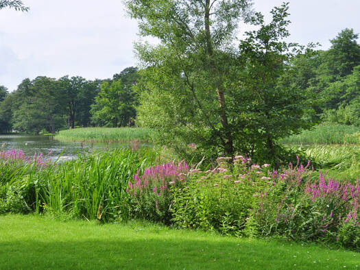 Wohnung zur Miete 931 € 2 Zimmer 49 m² 1. Geschoss Bad Saarow-Pieskow Bad Saarow 15526