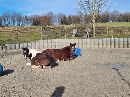 Einfamilienhaus zum Kauf provisionsfrei 649.000 € 7 Zimmer 175 m² 3.711 m² Grundstück Hofweinzier 11 Bogenberg Bogen 94327