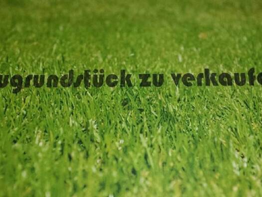 Grundstück zum Kauf provisionsfrei 177.500 € 555,5 m² Grundstück Vorstadt Strausberg 15344