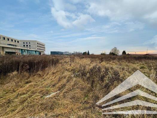 Gewerbegrundstück zum Kauf 3.200.000 € 9.127 m² Grundstück Pasching 4061