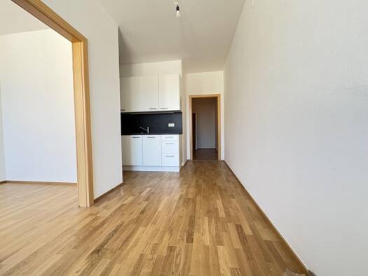 Wohnung zur Miete 598 € 3 Zimmer 54,4 m² 4. Geschoss Dinghoferstraße 54 Linz Linz 4020
