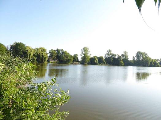 Wohnung zur Miete 449 € 4 Zimmer 61 m² 1. Geschoss frei ab 01.02.2026 Am Teich 5 Panitzsch Borsdorf 04451