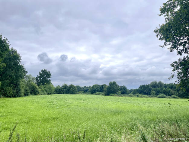 Grundstück zum Kauf 350.000 € 13.167 m² Grundstück Heidgraben 25436