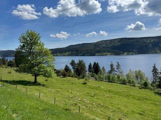 Studio zur Miete 589 € 3 Zimmer 57 m² 1. Geschoss Schluchsee 79859