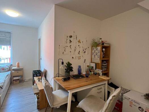 Studio zur Miete 600 € 1 Zimmer frei ab 01.05.2026 Innenstadt Tübingen 72070