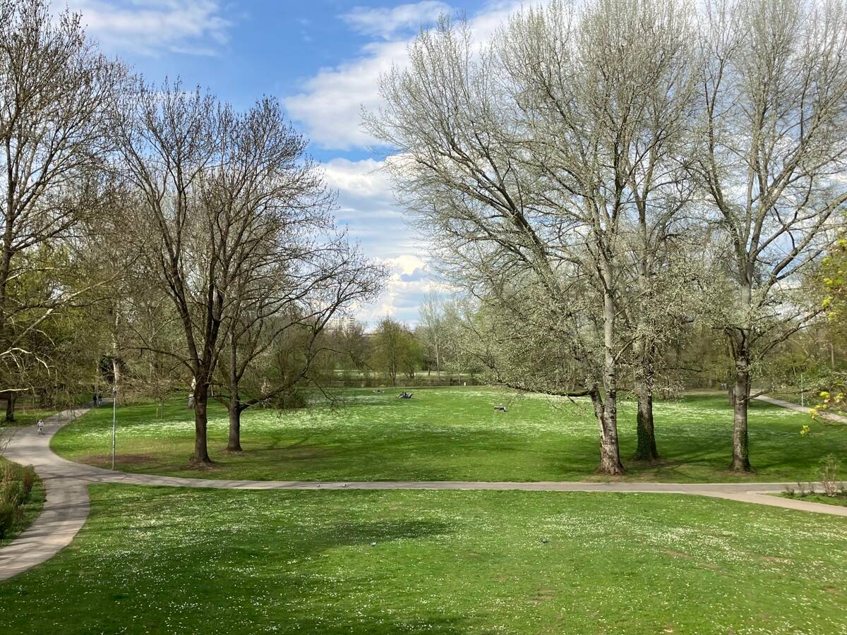 Property thumbnail 13